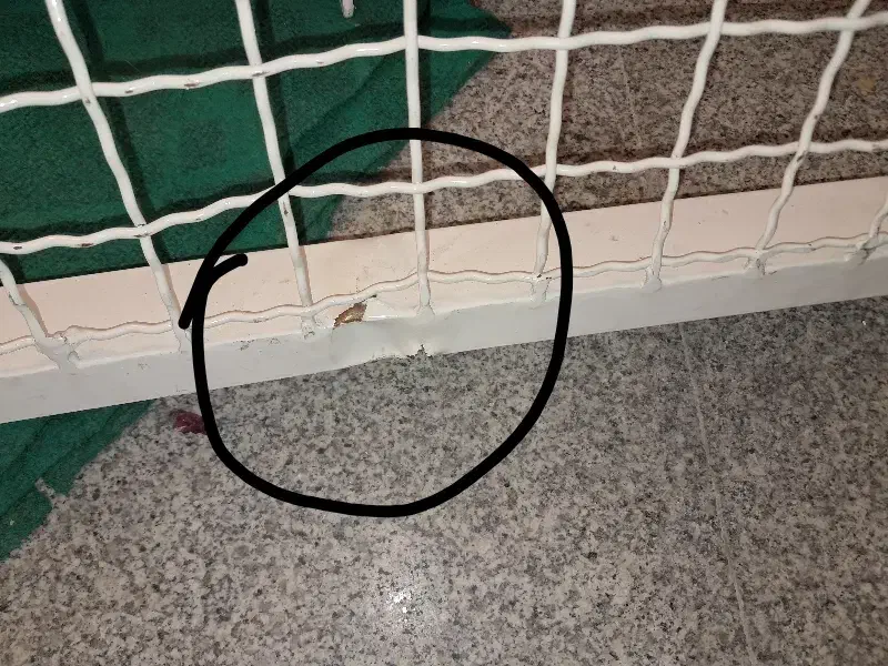 تخت بیمار|پزشکی|ارومیه, |دیوار