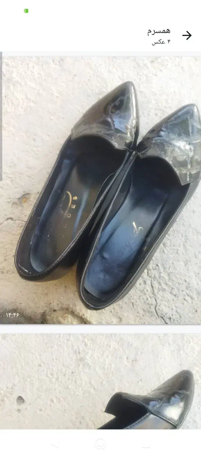 کفش مجلسی زنانه|کیف، کفش، کمربند|یاسوج, |دیوار