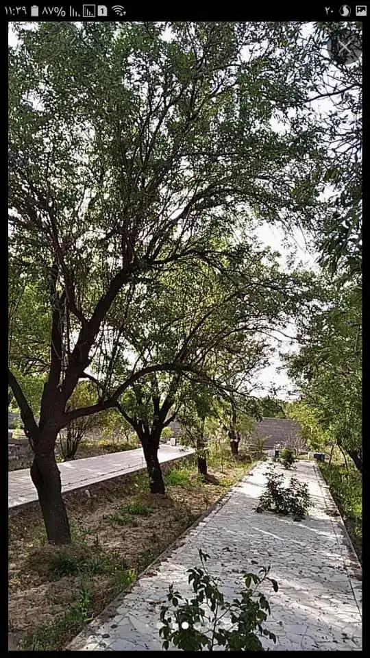 باغ|فروش زمین و ملک کلنگی|پاریز, |دیوار