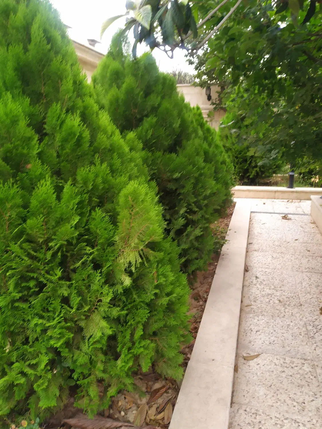 پکیج یاتکی/150متری/سه خواب/باهنرشمالی/صفر|فروش آپارتمان|شیراز, ریشمک|دیوار