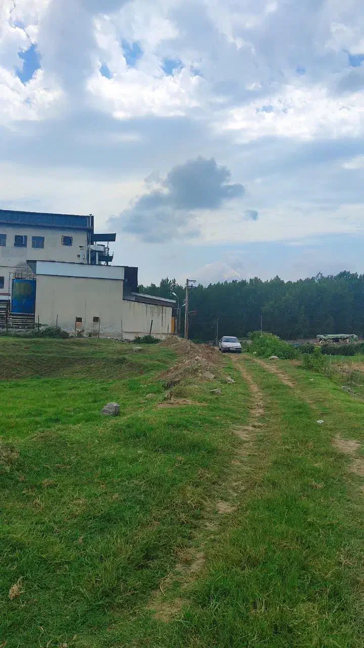 باغ مرکبات با لوکیشن جنگلی|فروش زمین و ملک کلنگی|امامزاده عبدالله, |دیوار