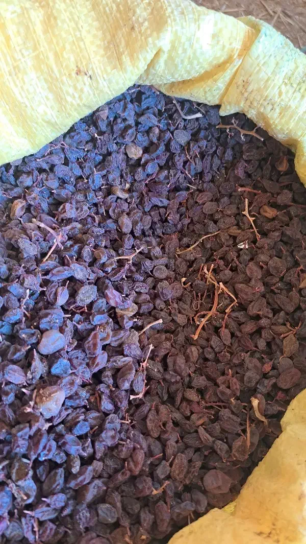 کشمش عسگری|خوردنی و آشامیدنی|قزوین, |دیوار
