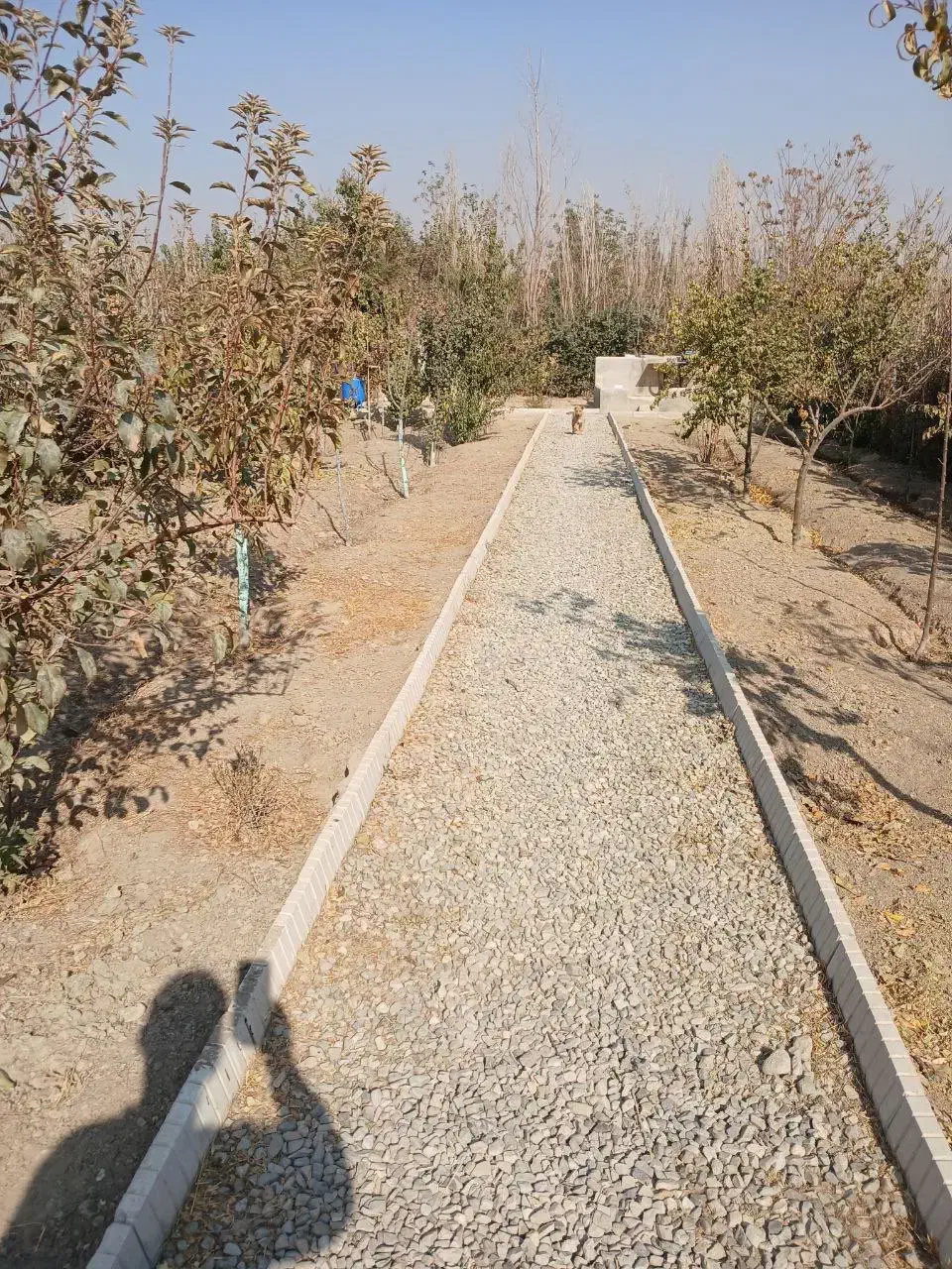 باغچه|فروش زمین و ملک کلنگی|چهاردانگه (تهران), |دیوار