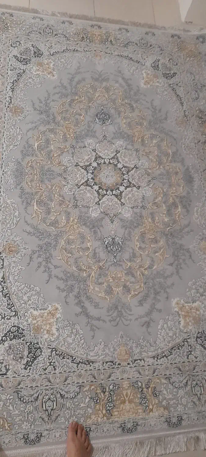 فرش ۹و۴متری|فرش|رشت, کوی مهر|دیوار