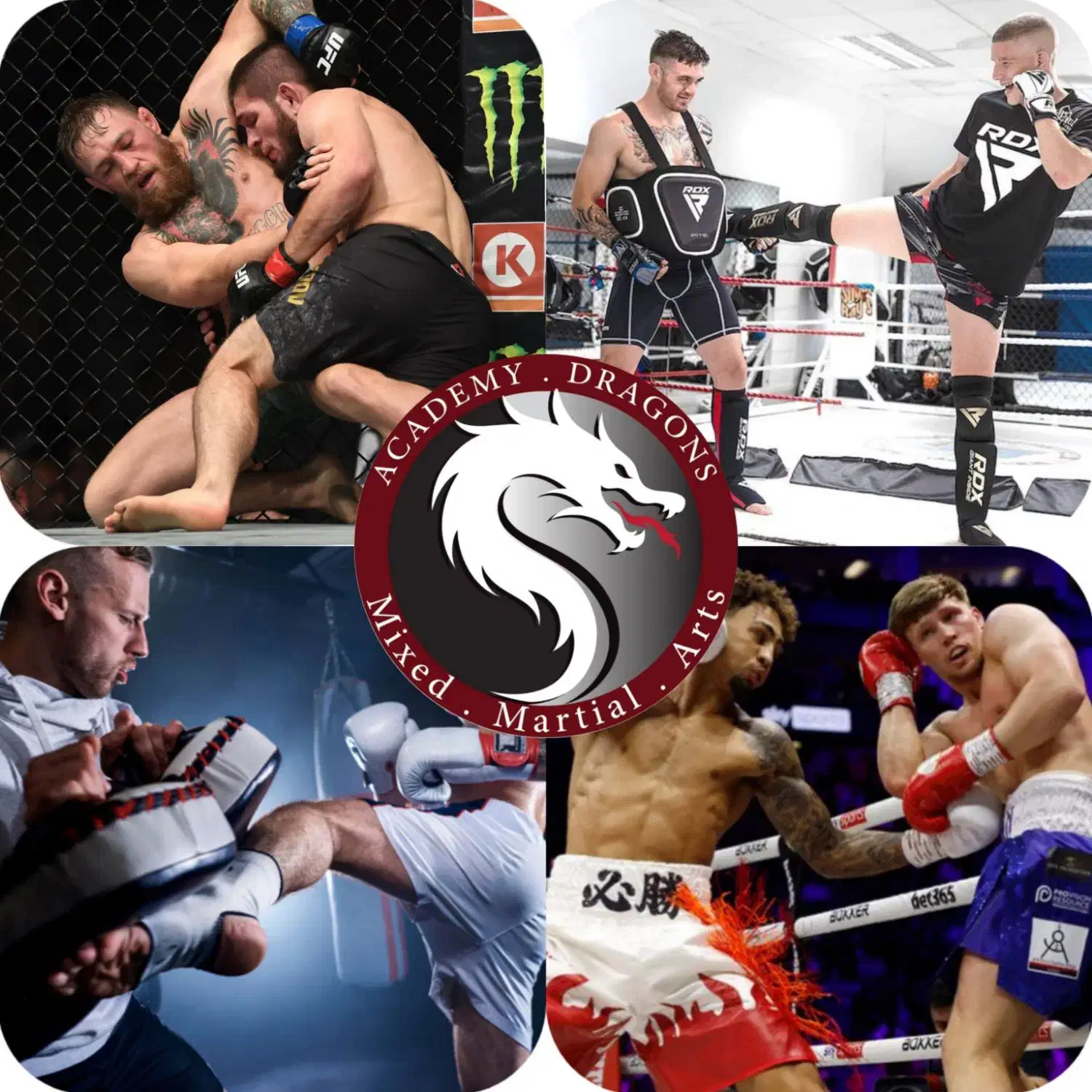 آموزش تخصصی رشته هایMMA،بوکس،کیک بوکسینگ،موی تای|خدمات آموزشی|شیراز, شهرک والفجر|دیوار