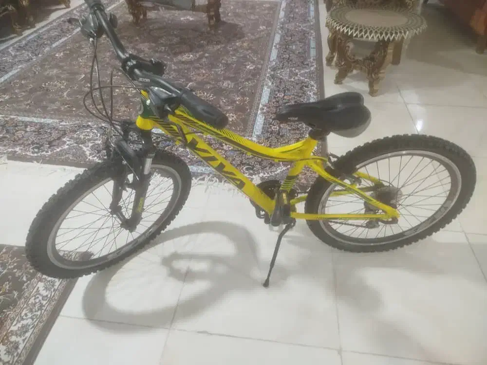 دوچرخه ویوا ۲۴ اینچ|دوچرخه، اسکیت، اسکوتر|بوشهر, |دیوار