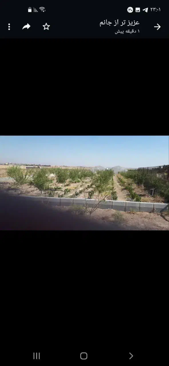 زمین مناسب کشاورزی و گلخانه  سوله کارخانه|فروش دفتر صنعتی، کشاورزی، تجاری|قزوین, |دیوار