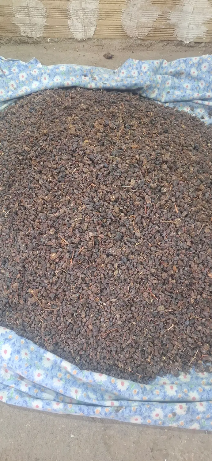 کشمش|خوردنی و آشامیدنی|عجب شیر, |دیوار