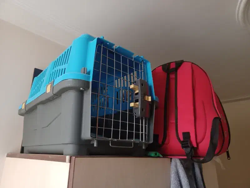 کیف و باکس حمل سگ|لوازم جانبی حیوانات|تهران, سهروردی|دیوار