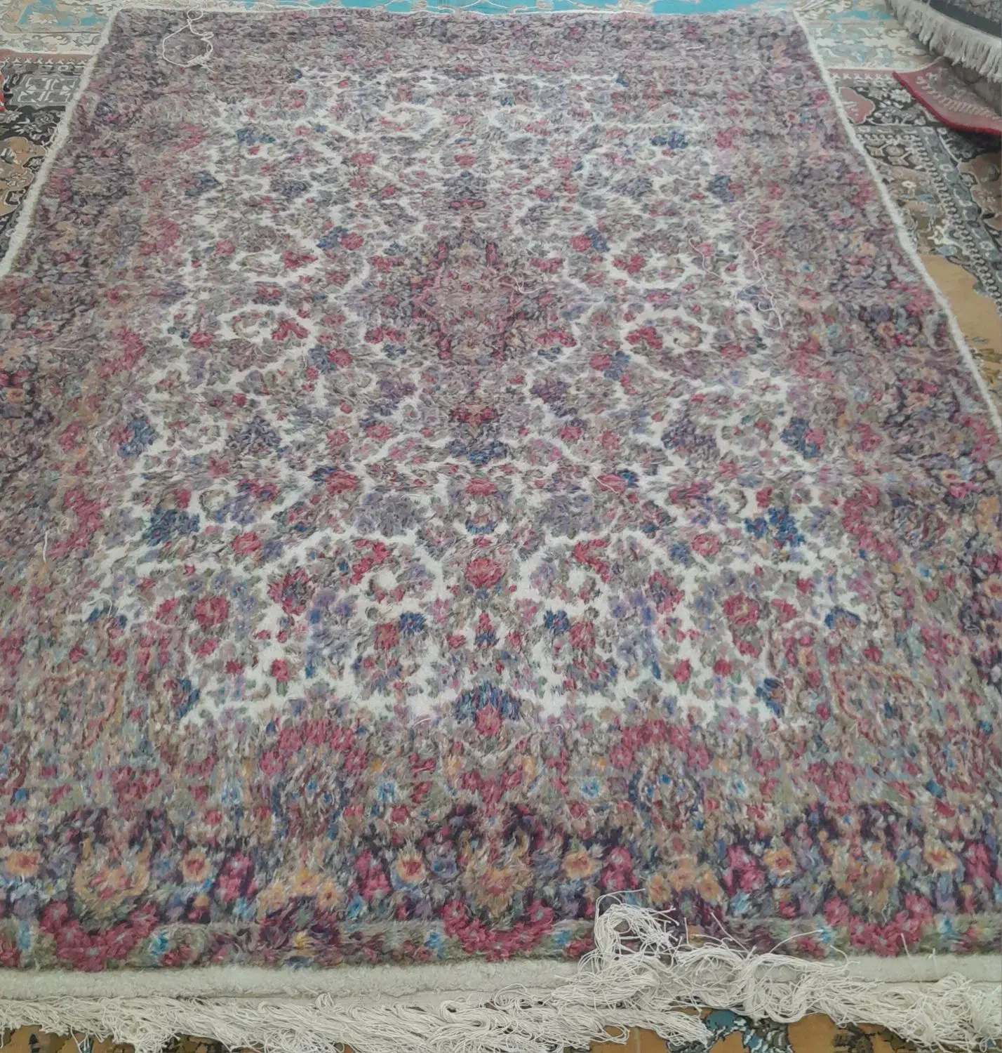 قالی دستبافت|فرش|راور, |دیوار