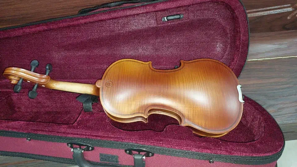 ویولن مدل Romance|ویولن|شوش, |دیوار