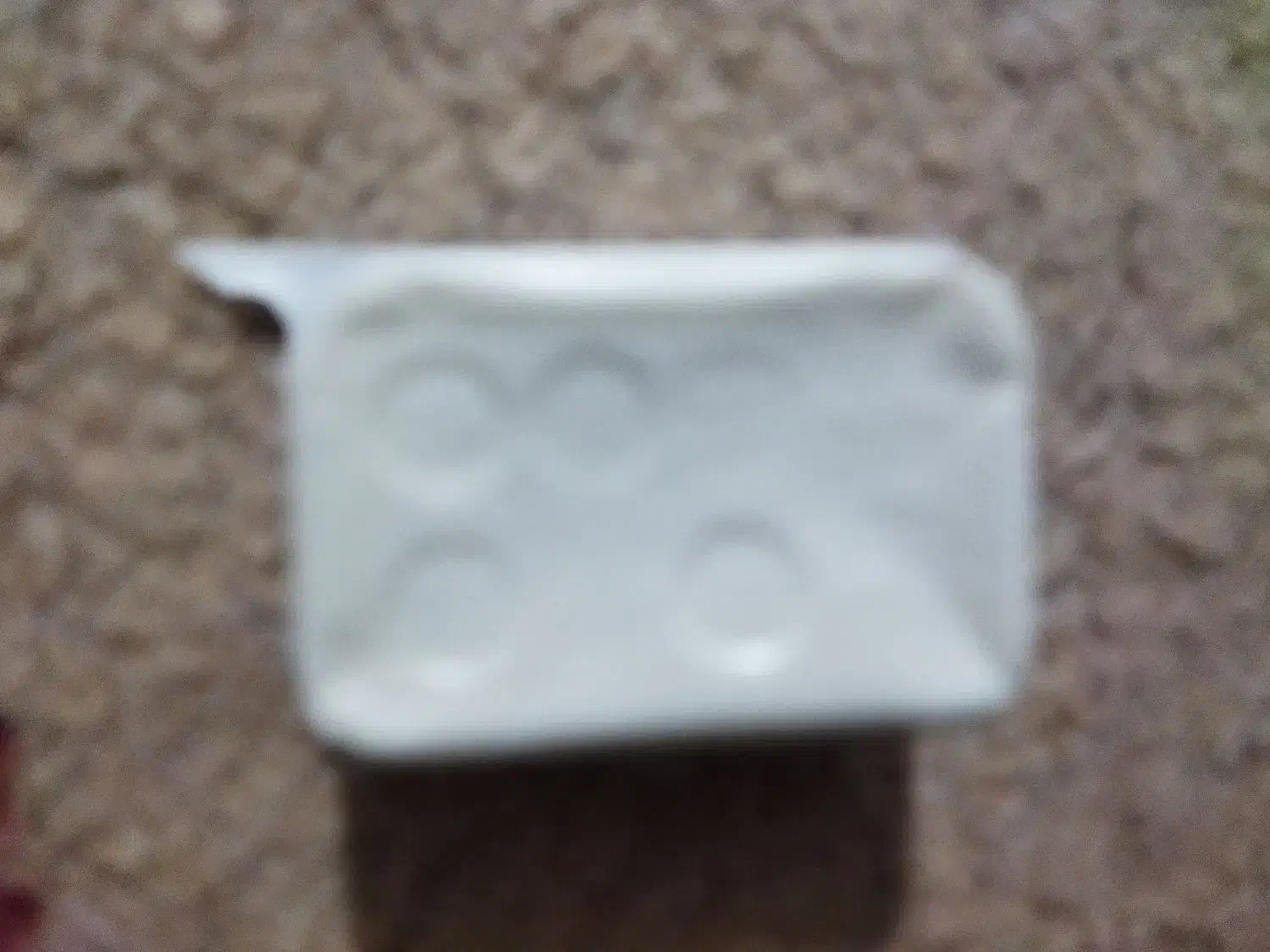 پنیر تک نفر|خوردنی و آشامیدنی|مشهد, شهید قربانی|دیوار