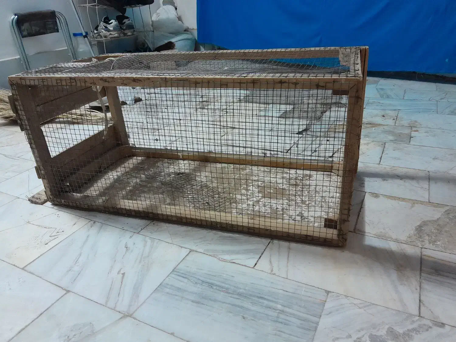 فروشی|لوازم جانبی حیوانات|تربت‌حیدریه, فرمانداری|دیوار