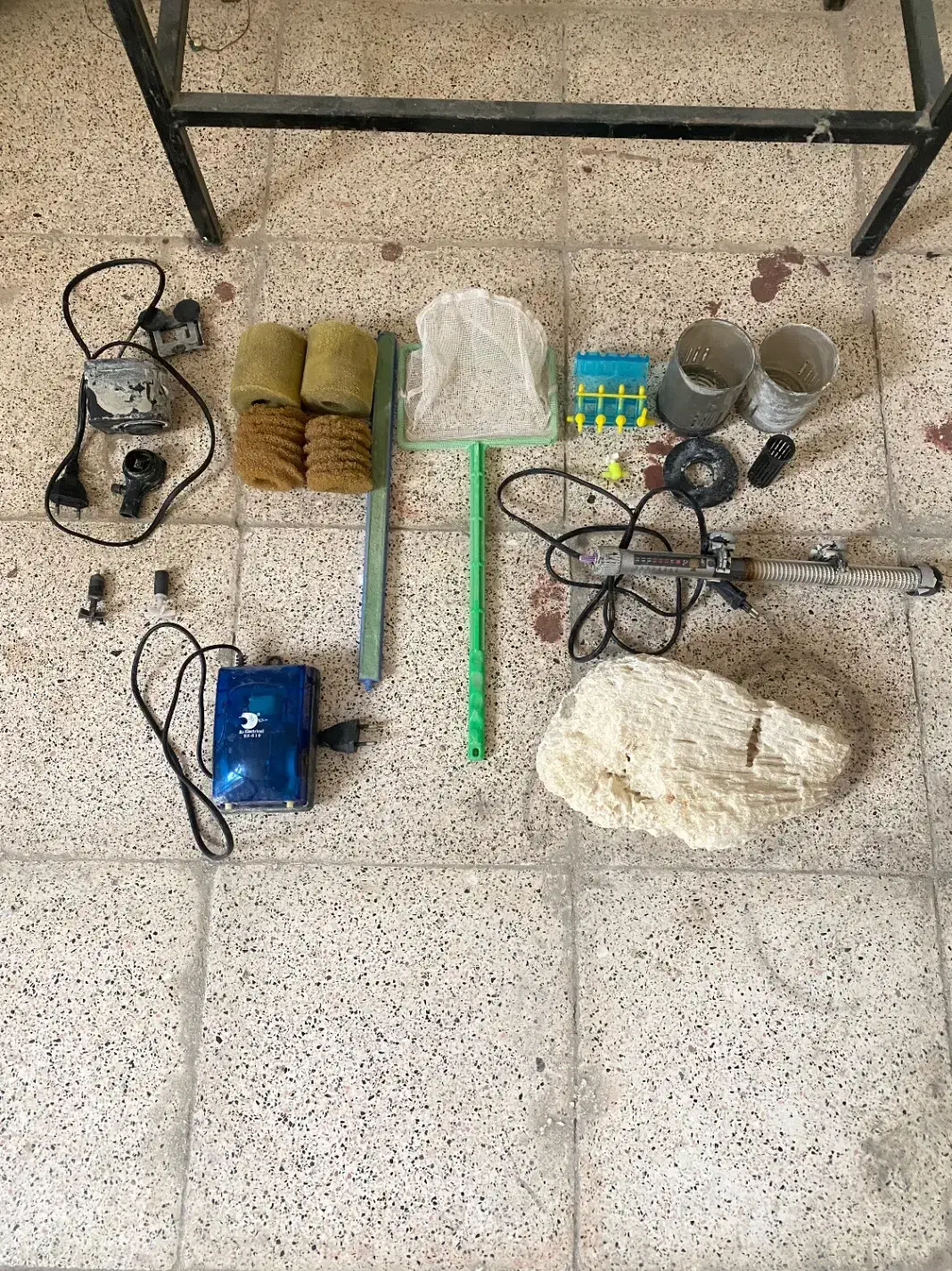 اکواریوم|ماهی|بجنورد, |دیوار