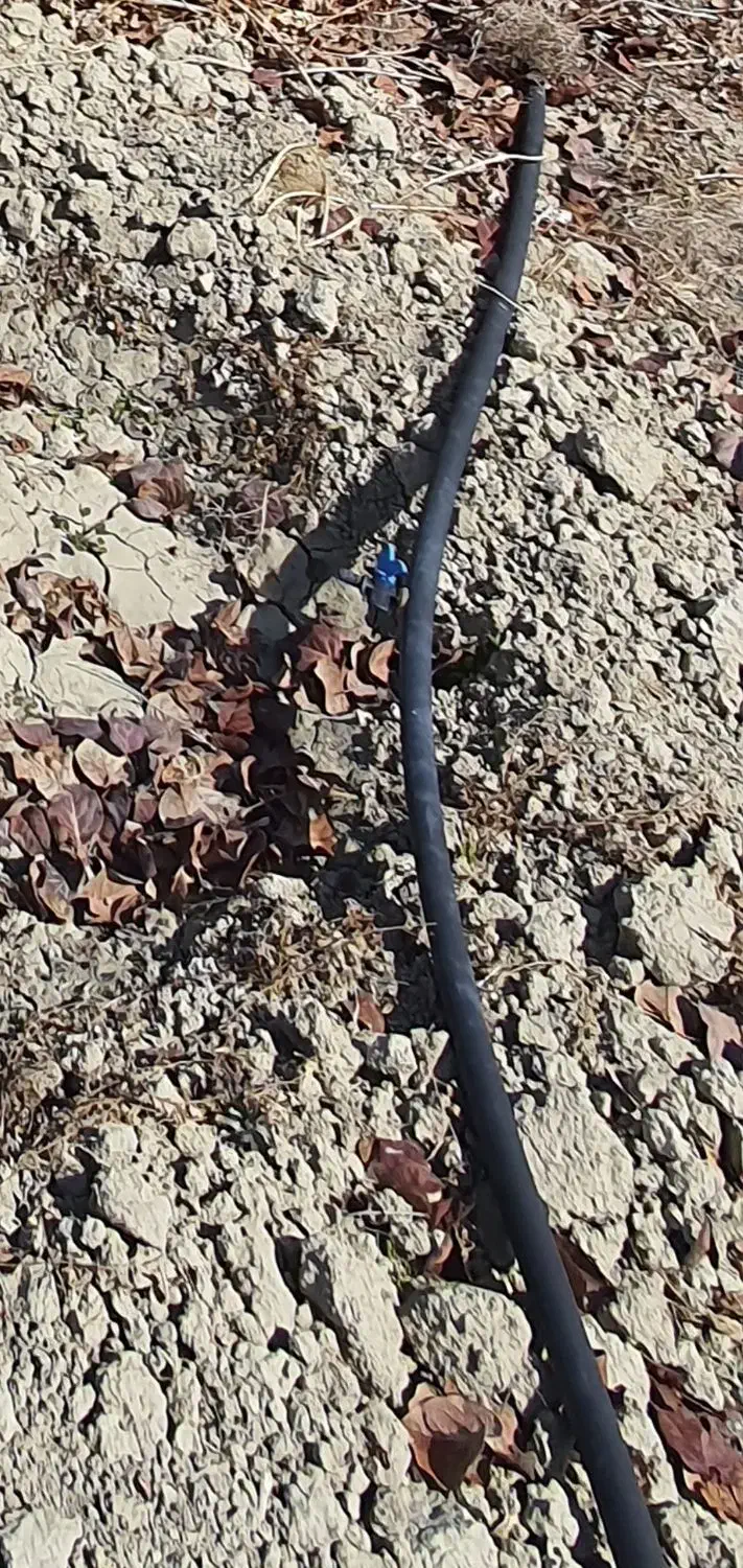 فروش لوله قطره ای یک اینج اندازه یک هکتار باغ|خدمات باغبانی و درختکاری|درودزن, |دیوار