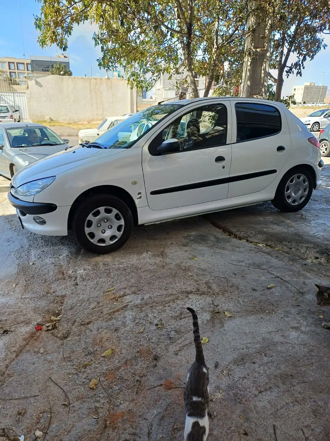 پژو۲۰۶مدل ۹۷ ایپ۲ تروتمیز|خودرو سواری و وانت|قزوین, |دیوار