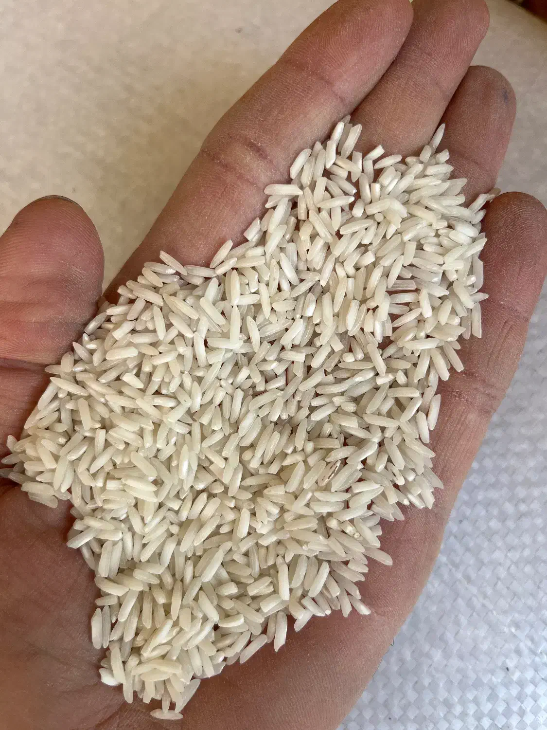 برنج مختار هاشمی|خوردنی و آشامیدنی|رضوانشهر, |دیوار