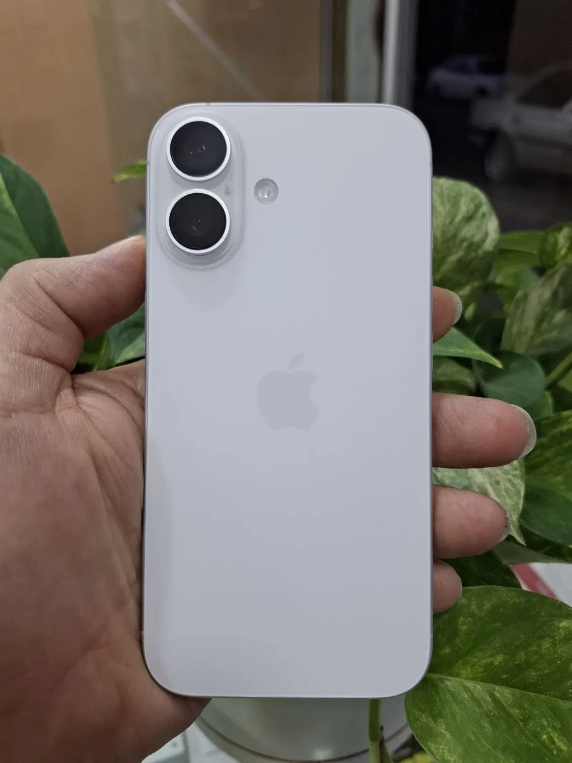 iPhone16|موبایل|یاسوج, |دیوار