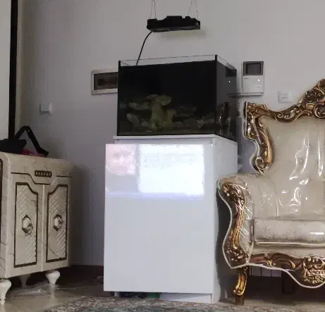 آکواریوم ریملکس حرفه ای|ماهی|اندیشه, شهرک مریم|دیوار