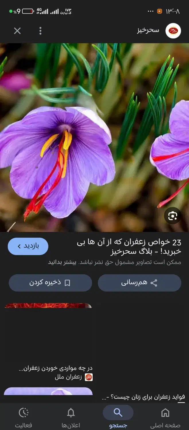 گل چین زعفران|تور و چارتر|بوژگان, |دیوار