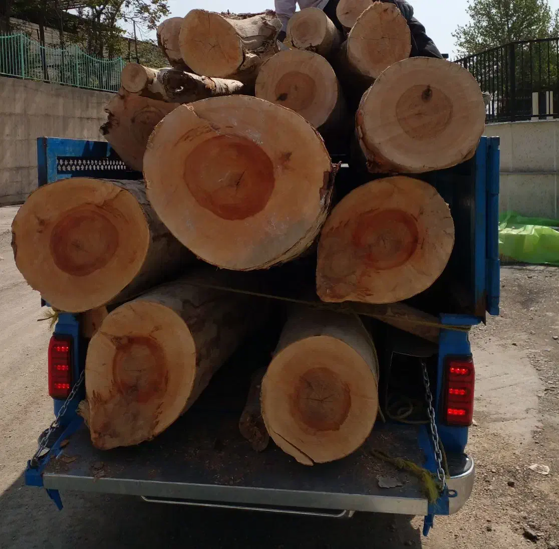 خریدارچوب هرس درخت قطع درخت|خدمات باغبانی و درختکاری|تهران, ترمینال غرب|دیوار