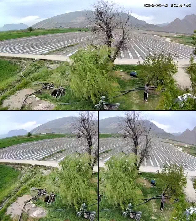 اجاره زمین کشاورزی|اجارهٔ دفتر صنعتی، کشاورزی، تجاری|درودزن, |دیوار