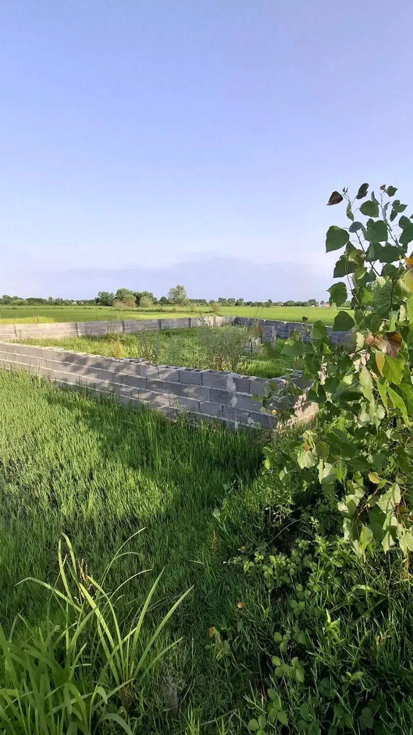 زمین کاسبی می خوای این زمین رو از دست نده|فروش زمین و ملک کلنگی|رشت, بازار|دیوار