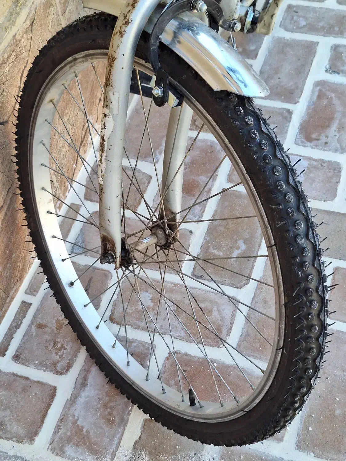 دوچرخه ۲۴ کارکرده|دوچرخه، اسکیت، اسکوتر|فردوس (خراسان), |دیوار