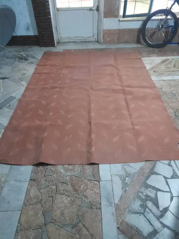 ۲ عدد موکت کاملا سالم|موکت|تبریز, |دیوار