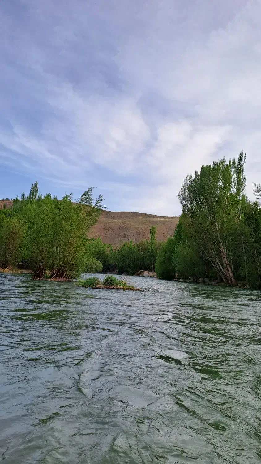 زمین کشاورزی|فروش دفتر صنعتی، کشاورزی، تجاری|زاینده رود, |دیوار