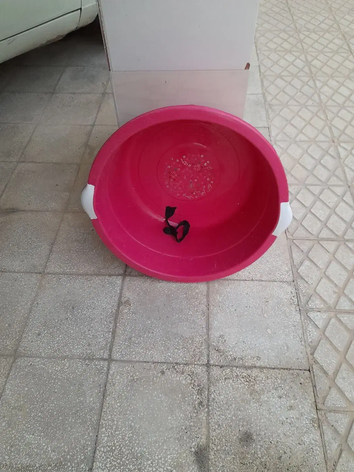 تشت|ظروف نگهدارنده، پلاستیکی، یک‌بارمصرف|سمنان, |دیوار