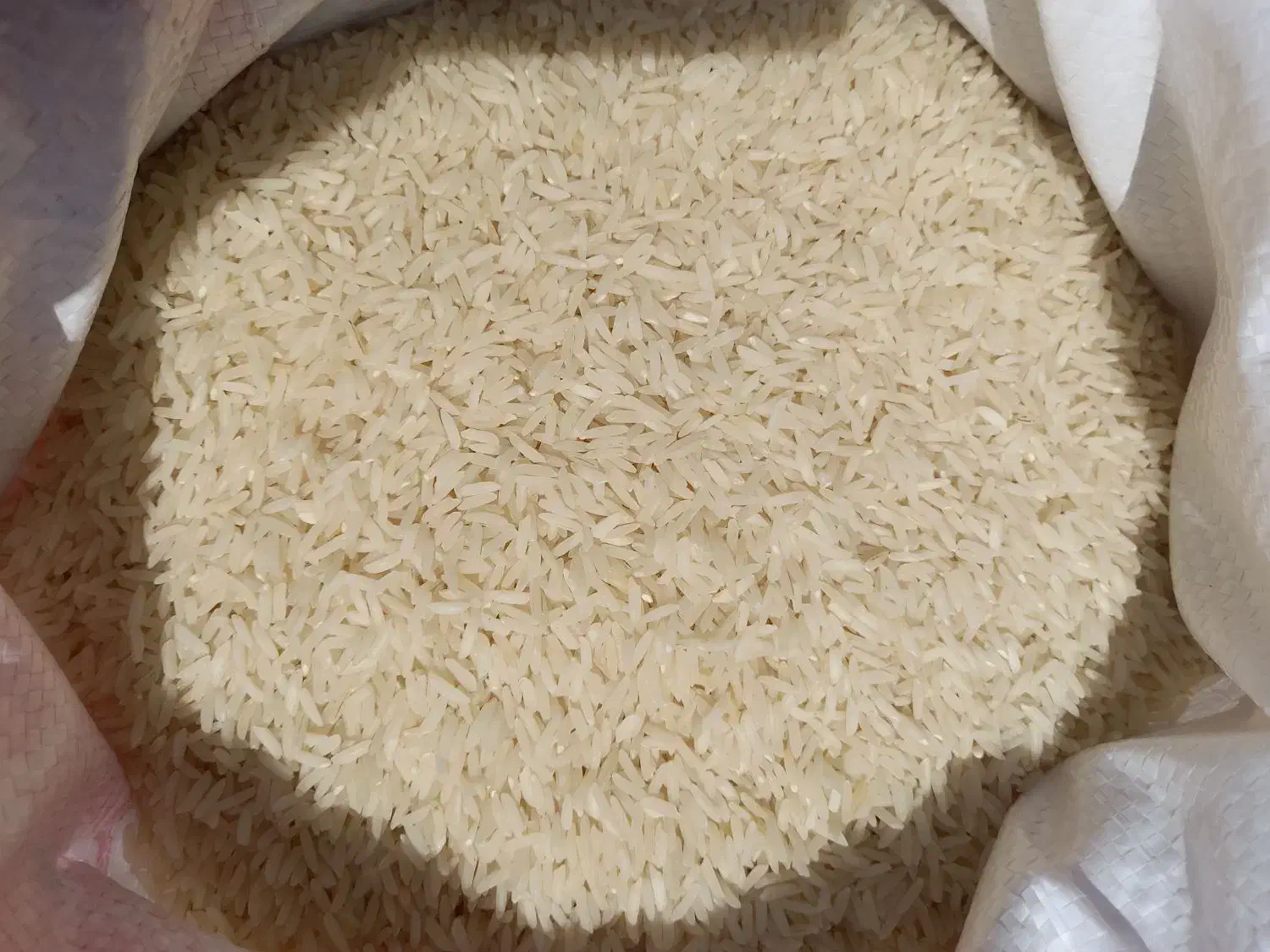 برنج هاشمی|خوردنی و آشامیدنی|قزوین, |دیوار