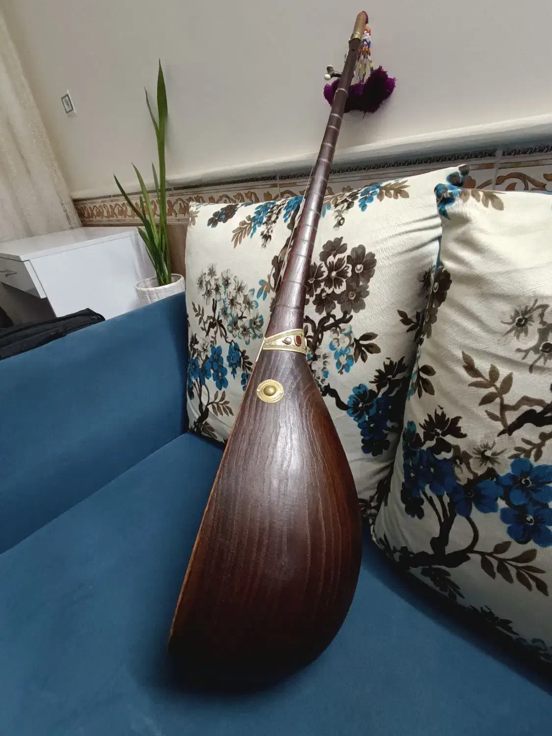 دوتار خوش خوان|سازهای سنتی|بجنورد, |دیوار