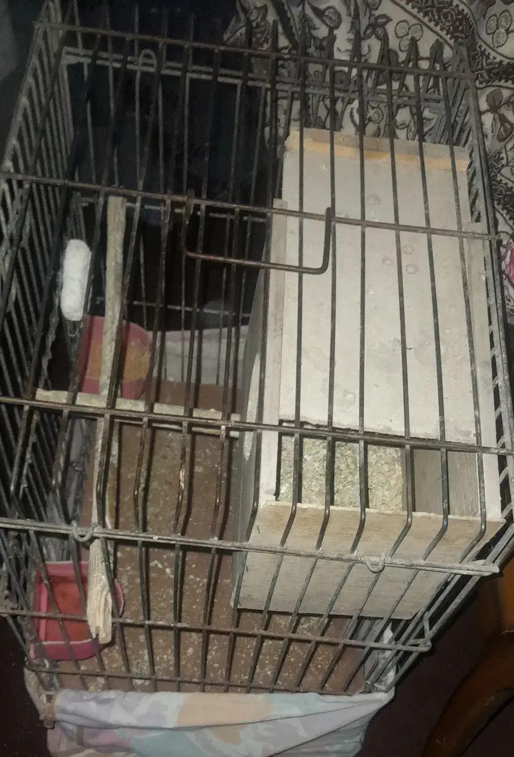 قفس پرنده|لوازم جانبی حیوانات|رباط‌کریم, الارد|دیوار