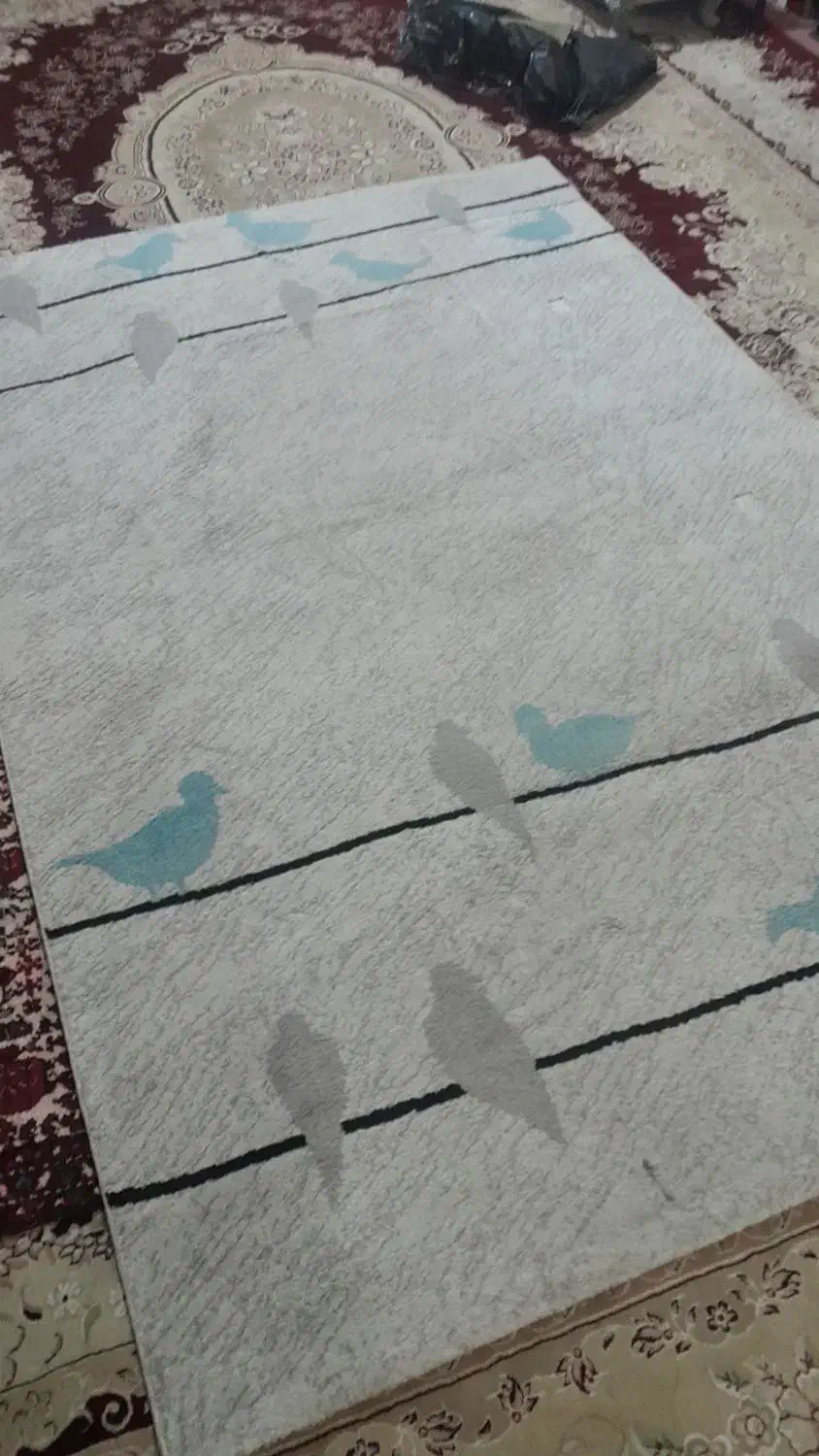 دو تکه موکت ۱۲و ۹متری و گلیم فرش ۴متری|فرش|قم, شهرک فاطمیه|دیوار