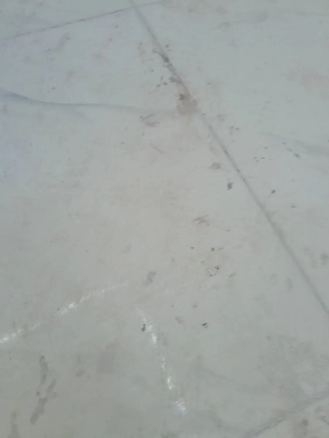 پاکسازی ونظافت منزل وساختمانها|خدمات نظافت|آستانه اشرفیه, |دیوار