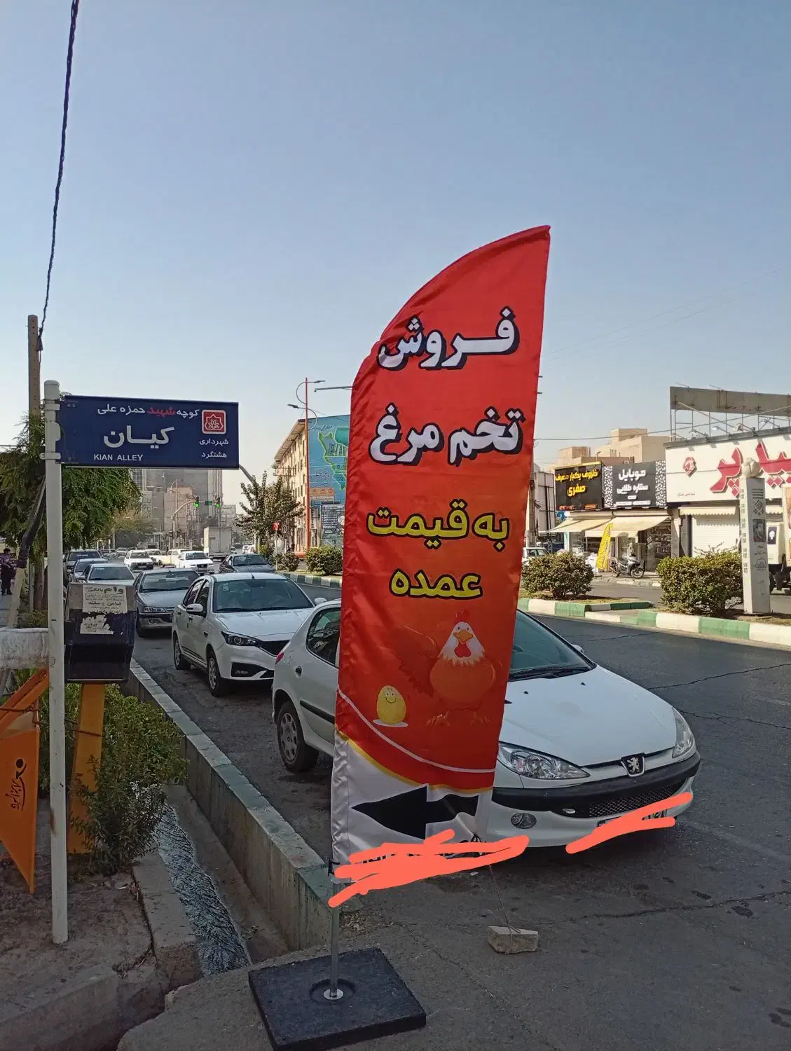 فروش تخم مرغ به قیمت عمده شانه ای165|عمدهفروشی|هشتگرد, شهرک ولیعصر (مصلی)|دیوار