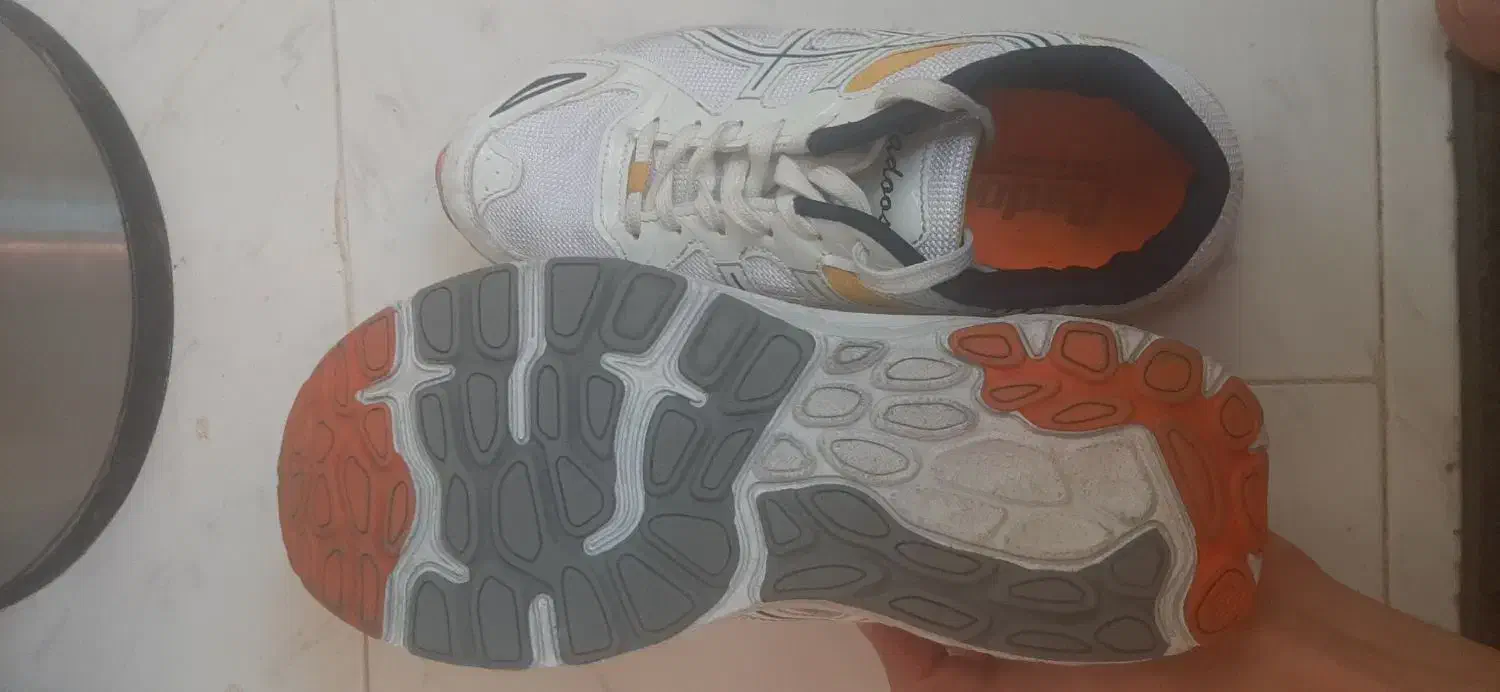 کتونی اسیکس|کیف، کفش، کمربند|اسفراین, |دیوار