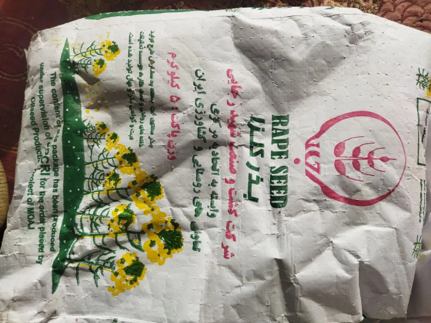 بذرکلزا هیولا۵۰ پلمپ|خدمات باغبانی و درختکاری|زرندیه, |دیوار