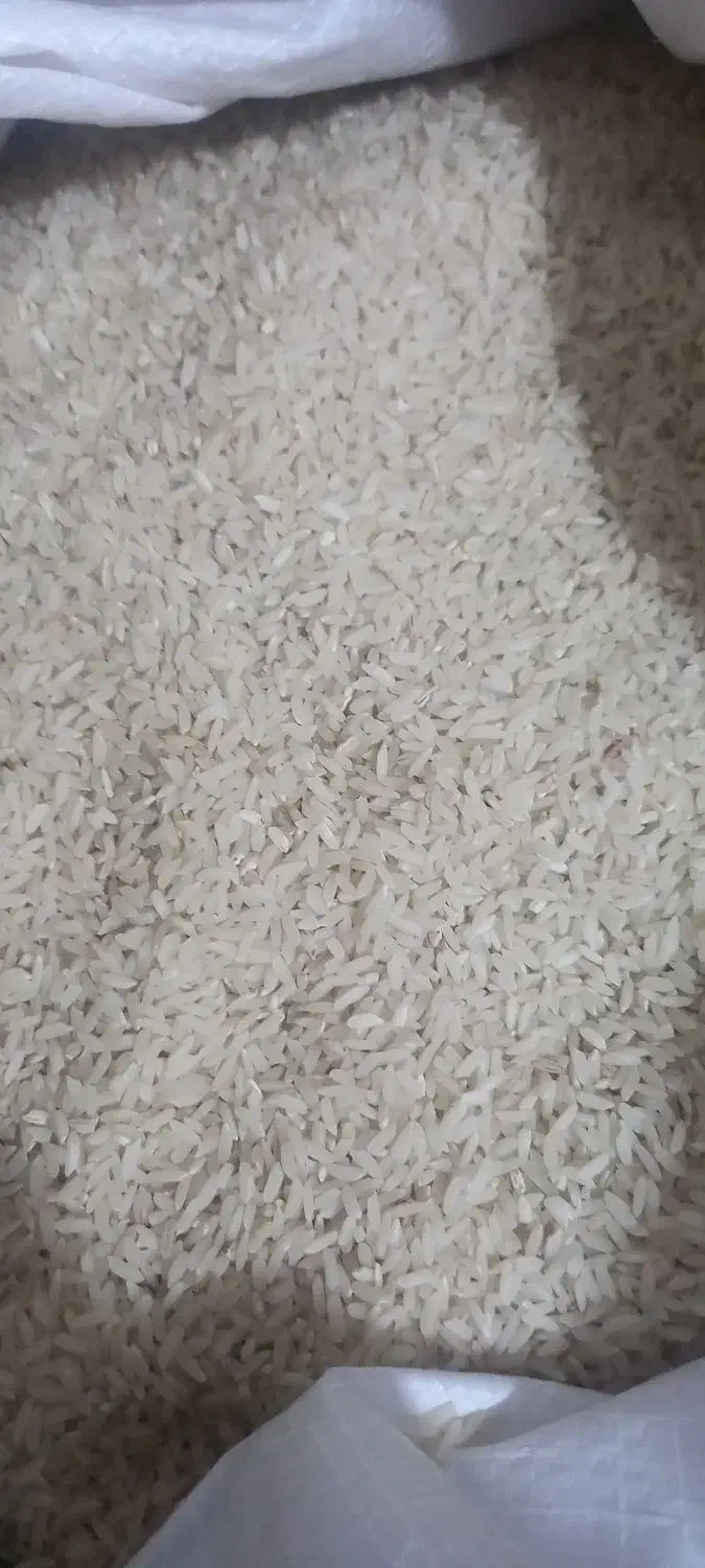 برنج عنبربو|خوردنی و آشامیدنی|سیروان, |دیوار