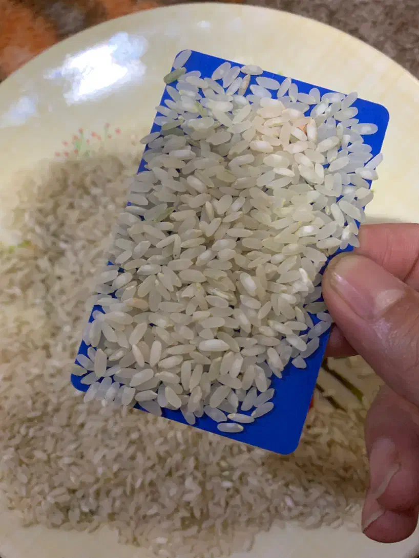 برنج کامفیروزی نو درجه یک|خوردنی و آشامیدنی|شیراز, شهرک سراج‎|دیوار