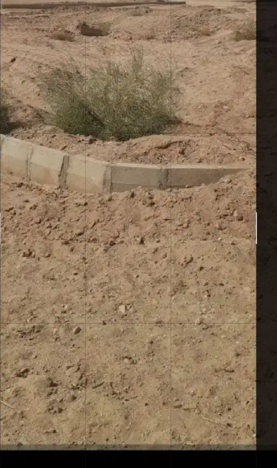 زمین|فروش زمین و ملک کلنگی|یزد, |دیوار