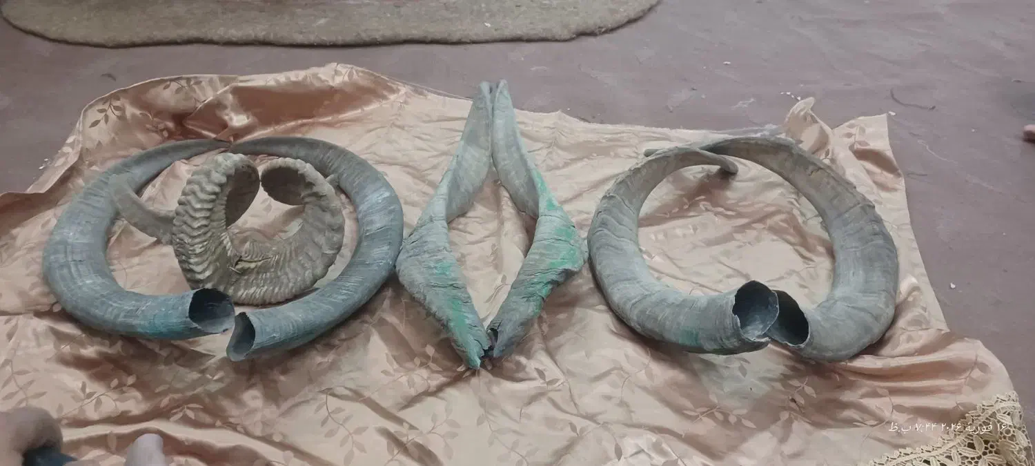 شاخ بُز|کلکسیون اشیاء عتیقه|خمینی‌شهر, |دیوار