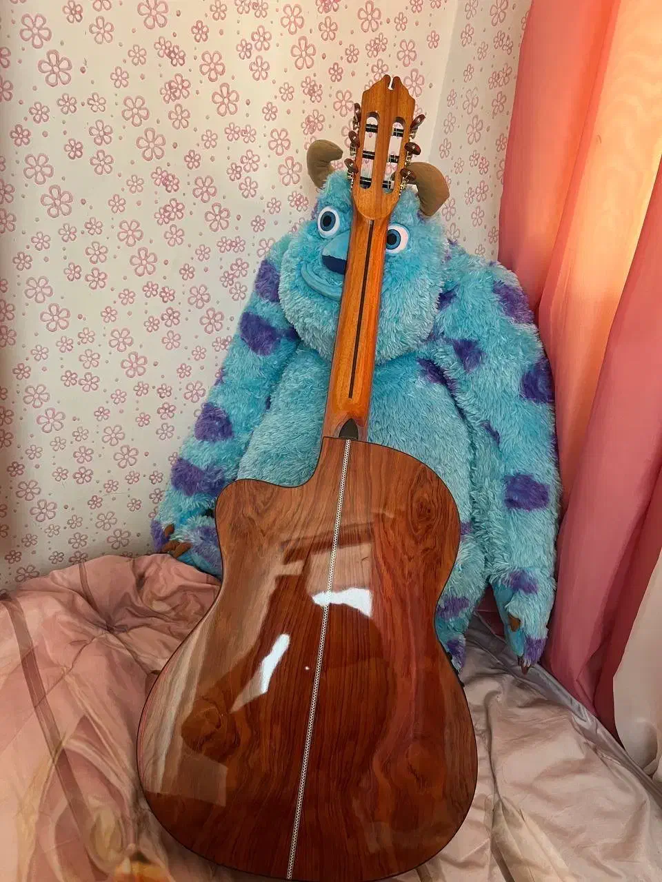 گیتار نو|گیتار، بیس، امپلیفایر|رشت, گلسار|دیوار