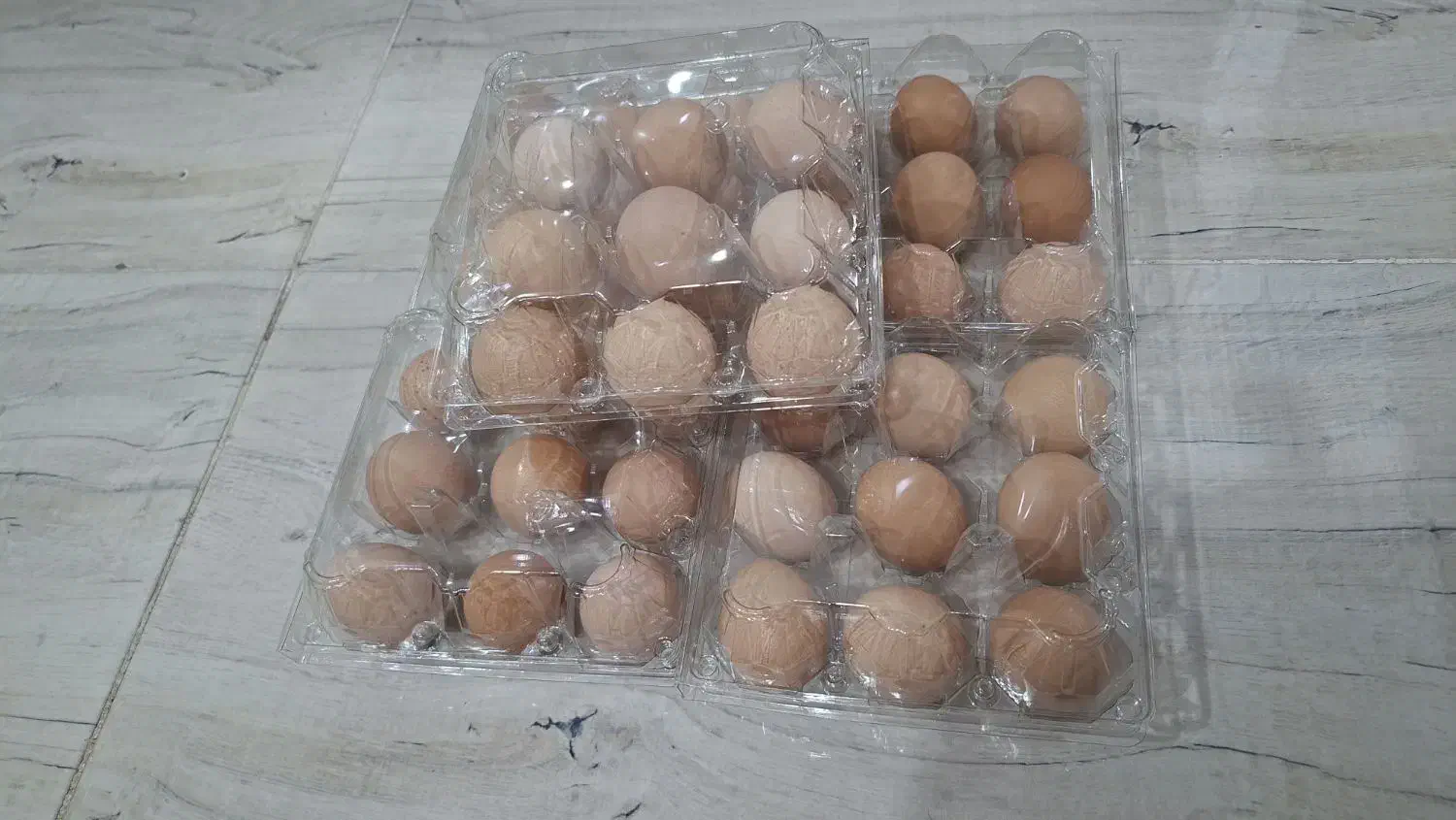 تخم مرغ محلی با بهترین کیفیت دان|خوردنی و آشامیدنی|رفسنجان, |دیوار