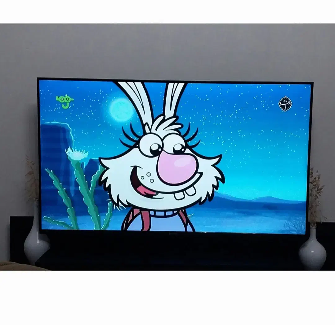 تلویزیون اسنوا ۵۵ اینچ|تلویزیون و پروژکتور|محمدیه-قزوین, |دیوار