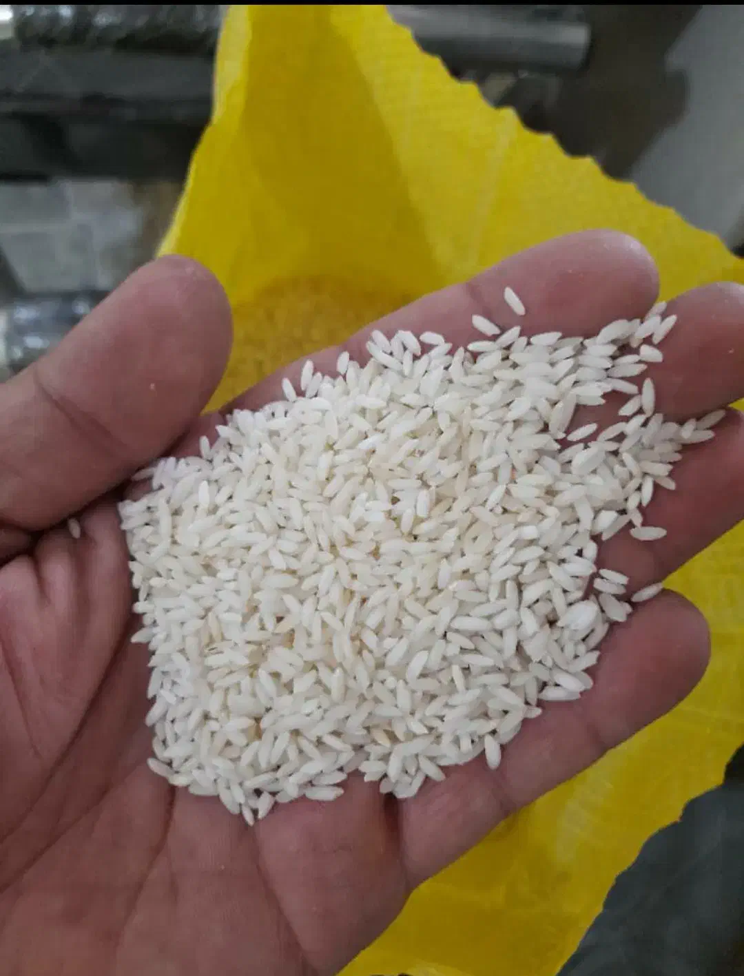 برنج عنبربو تمام دانه|خوردنی و آشامیدنی|دزفول, |دیوار