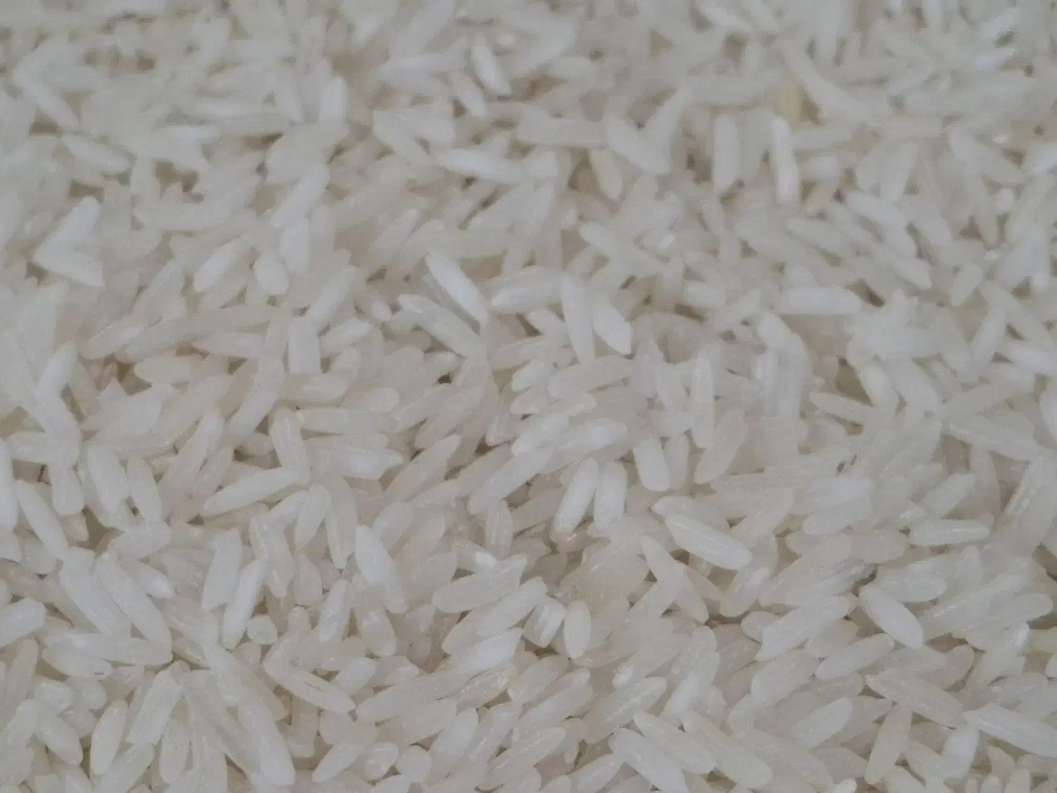 برنج دانه بلند|خوردنی و آشامیدنی|ایذه, |دیوار