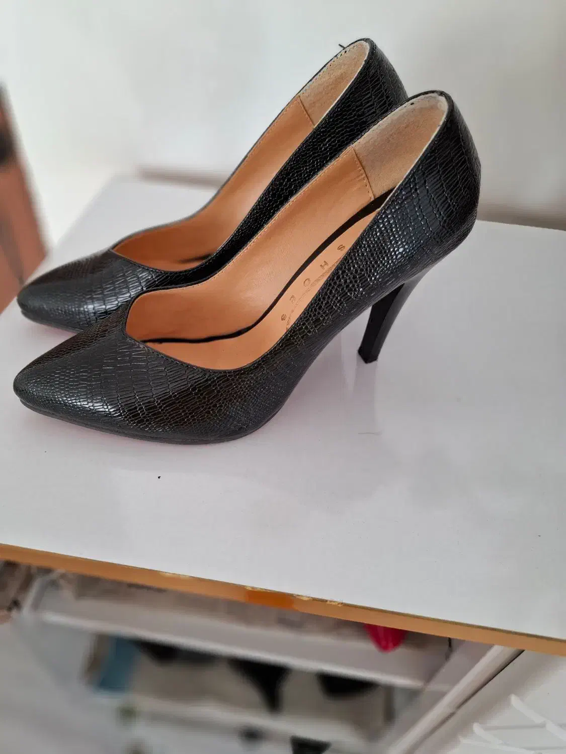 کفش مجلسی.اسپرت.پوت|کیف، کفش، کمربند|اردبیل, |دیوار