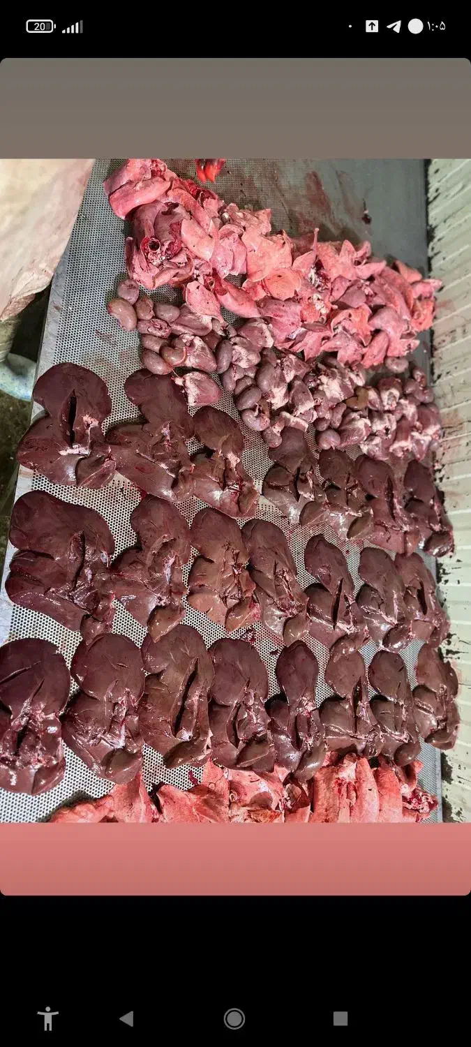 گوشت آنلاین|خوردنی و آشامیدنی|مشهد, گلبرگ شمالی|دیوار